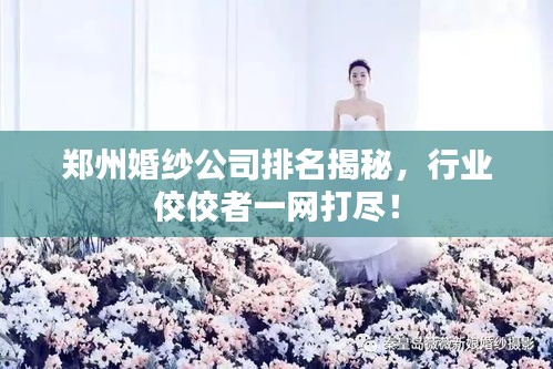 郑州婚纱公司排名揭秘，行业佼佼者一网打尽！