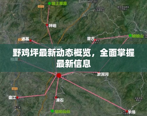 野鸡坪最新动态概览，全面掌握最新信息
