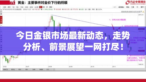 今日金银市场最新动态，走势分析、前景展望一网打尽！
