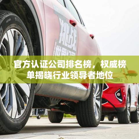 官方认证公司排名榜，权威榜单揭晓行业领导者地位