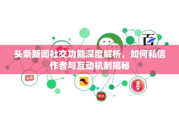 头条新闻社交功能深度解析，如何私信作者与互动机制揭秘