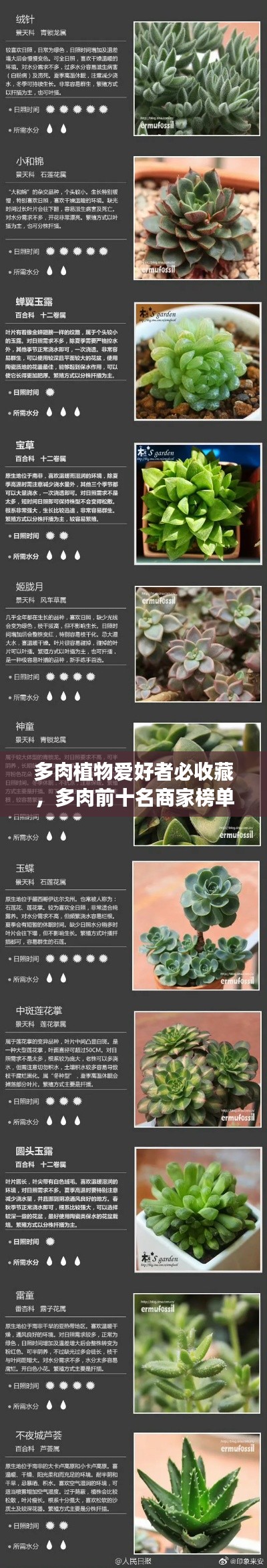 多肉植物爱好者必收藏，多肉前十名商家榜单揭秘！