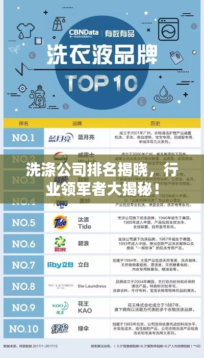 洗涤公司排名揭晓，行业领军者大揭秘！