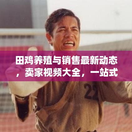 田鸡养殖与销售最新动态，卖家视频大全，一站式全面了解