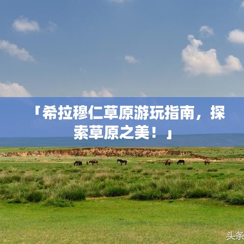「希拉穆仁草原游玩指南，探索草原之美！」