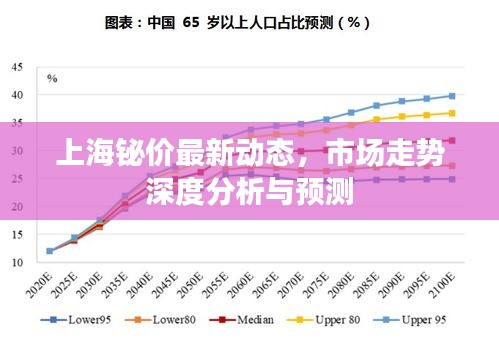 上海铋价最新动态，市场走势深度分析与预测
