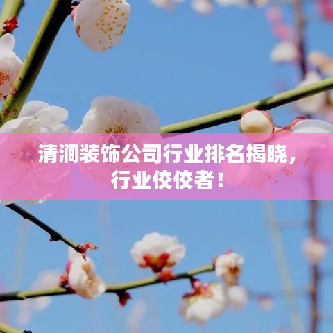 清涧装饰公司行业排名揭晓，行业佼佼者！