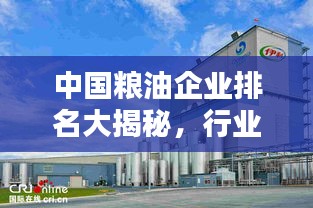 中国粮油企业排名大揭秘，行业领军者一览无余