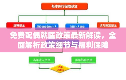 免费配偶就医政策最新解读，全面解析政策细节与福利保障