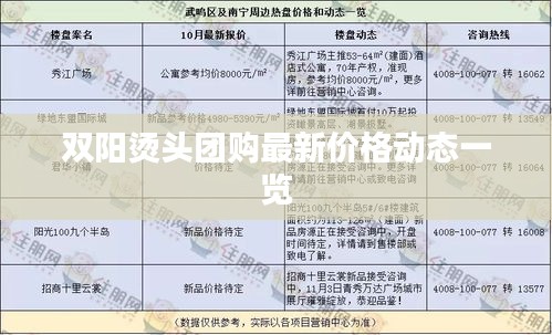 双阳烫头团购最新价格动态一览