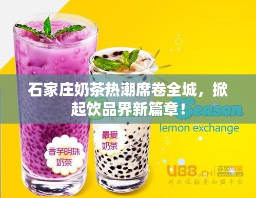 石家庄奶茶热潮席卷全城，掀起饮品界新篇章！