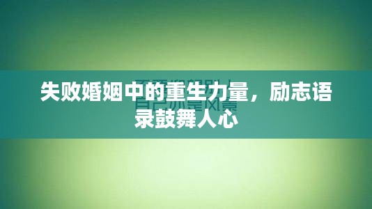 失败婚姻中的重生力量，励志语录鼓舞人心