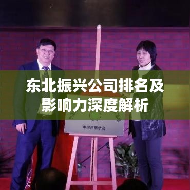 东北振兴公司排名及影响力深度解析