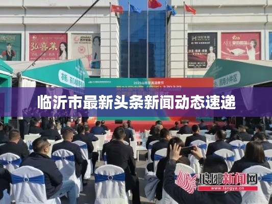临沂市最新头条新闻动态速递