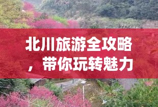 北川旅游全攻略，带你玩转魅力之旅！
