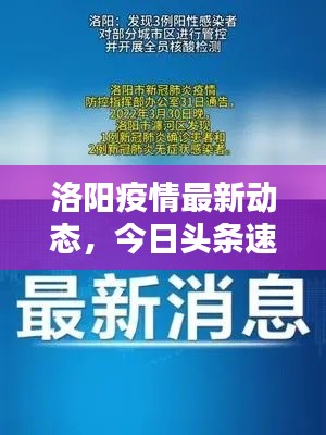 洛阳疫情最新动态，今日头条速览