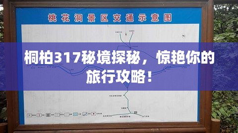 桐柏317秘境探秘，惊艳你的旅行攻略！