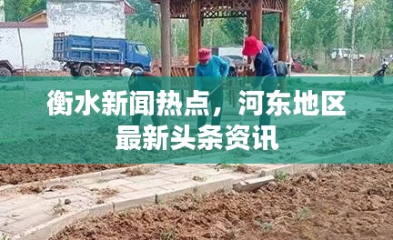 衡水新闻热点，河东地区最新头条资讯
