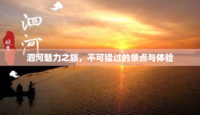 泗河魅力之旅，不可错过的景点与体验