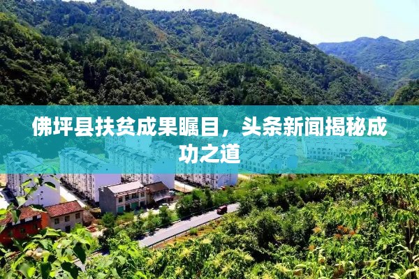 公司简介 第19页