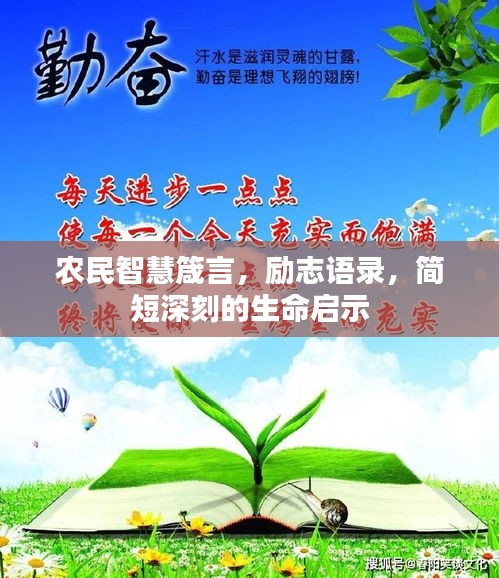 农民智慧箴言，励志语录，简短深刻的生命启示