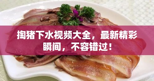 掏猪下水视频大全，最新精彩瞬间，不容错过！
