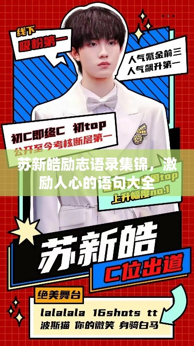 苏新皓励志语录集锦，激励人心的语句大全