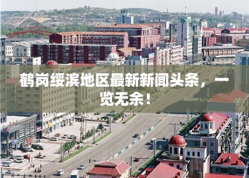 鹤岗绥滨地区最新新闻头条，一览无余！