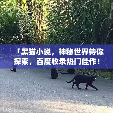 「黑猫小说，神秘世界待你探索，百度收录热门佳作！」