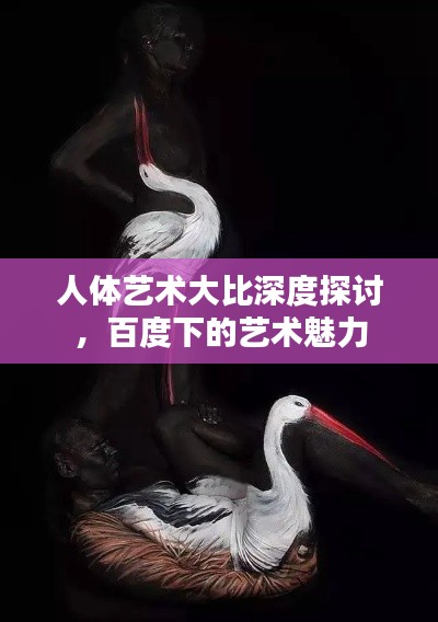 人体艺术大比深度探讨，百度下的艺术魅力