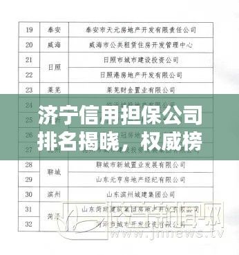 济宁信用担保公司排名揭晓，权威榜单助你快速了解行业佼佼者