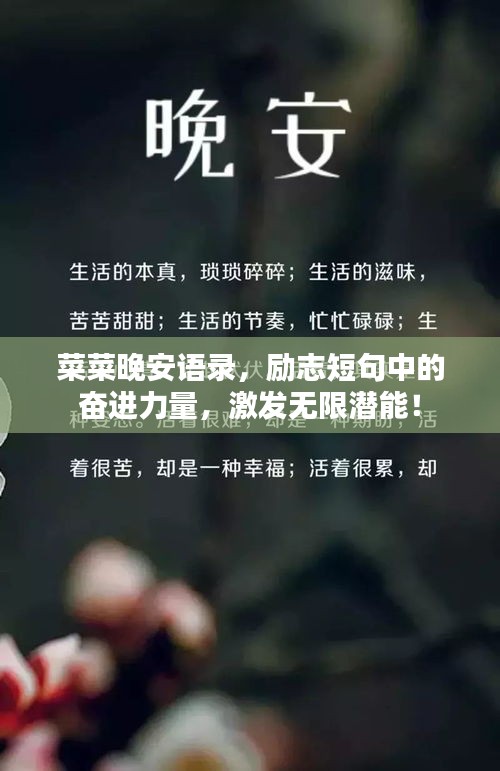 菜菜晚安语录，励志短句中的奋进力量，激发无限潜能！