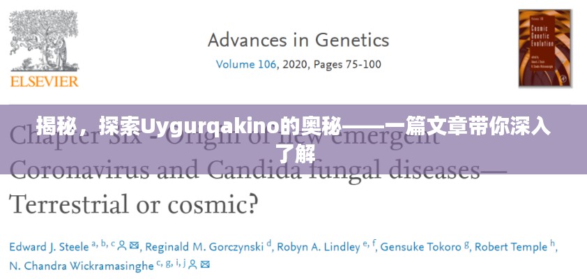 揭秘，探索Uygurqakino的奥秘——一篇文章带你深入了解