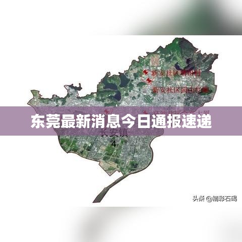 东莞最新消息今日通报速递