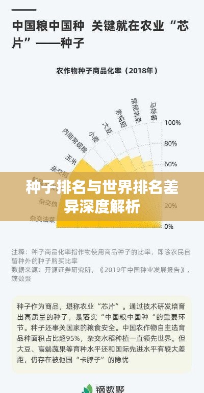 种子排名与世界排名差异深度解析