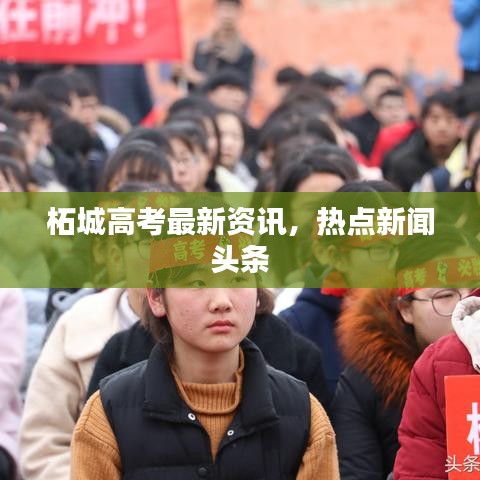 柘城高考最新资讯，热点新闻头条