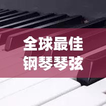 全球最佳钢琴琴弦排行榜TOP推荐