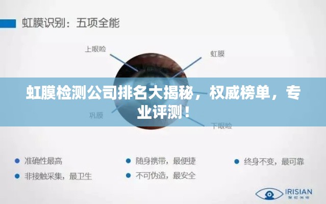 虹膜检测公司排名大揭秘，权威榜单，专业评测！