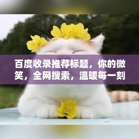 百度收录推荐标题，你的微笑，全网搜索，温暖每一刻！