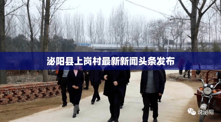 丢三落四