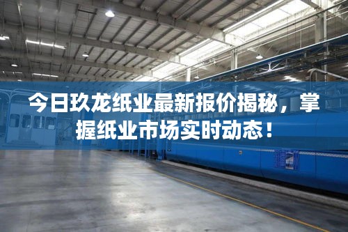 今日玖龙纸业最新报价揭秘，掌握纸业市场实时动态！