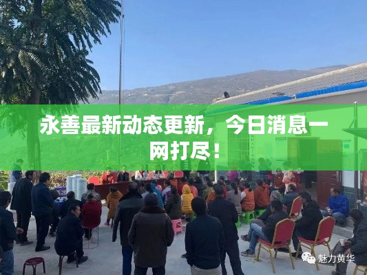 永善最新动态更新，今日消息一网打尽！