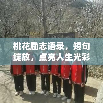 桃花励志语录，短句绽放，点亮人生光彩