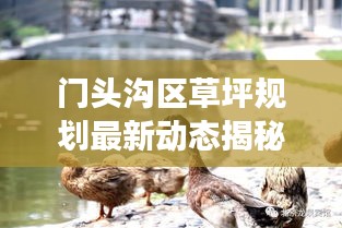 门头沟区草坪规划最新动态揭秘，国内草坪规划趋势与展望