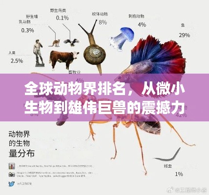 全球动物界排名，从微小生物到雄伟巨兽的震撼力量！