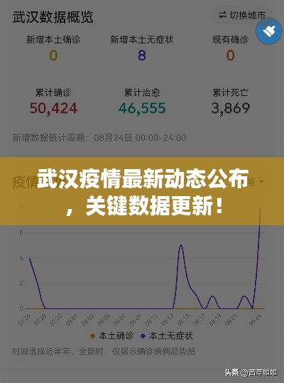 武汉疫情最新动态公布，关键数据更新！