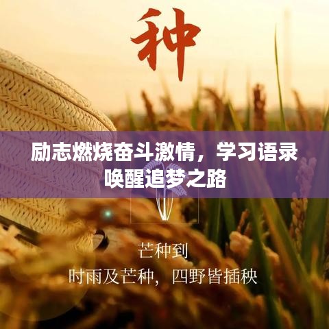贵戚之卿