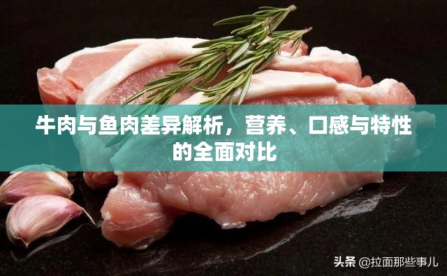 牛肉与鱼肉差异解析，营养、口感与特性的全面对比