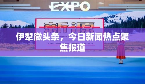 伊犁微头条，今日新闻热点聚焦报道