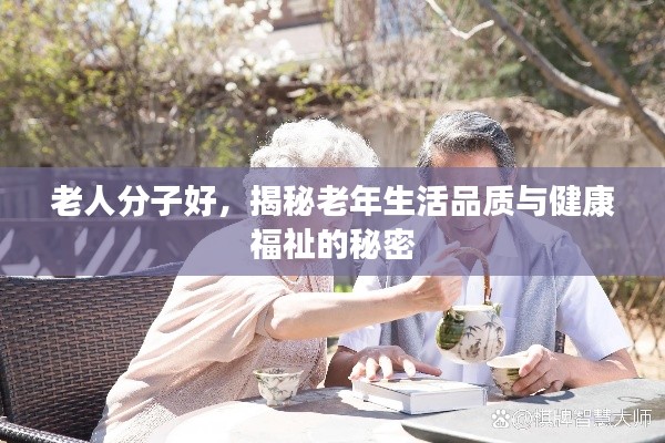 老人分子好，揭秘老年生活品质与健康福祉的秘密